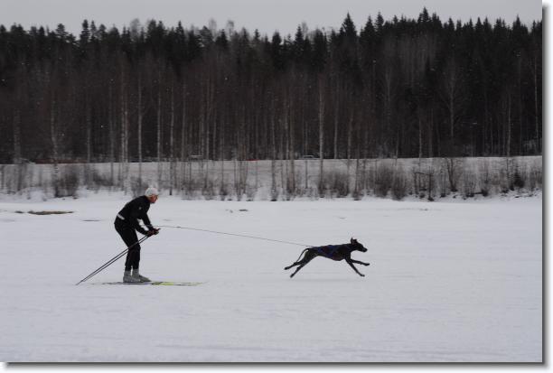N�sta bild