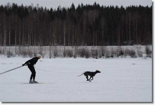 N�sta bild