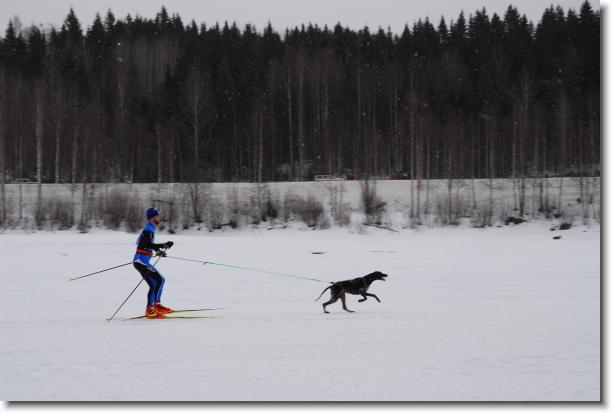 N�sta bild