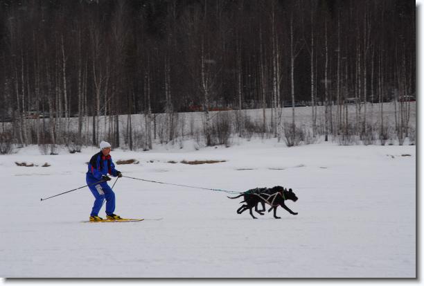 N�sta bild