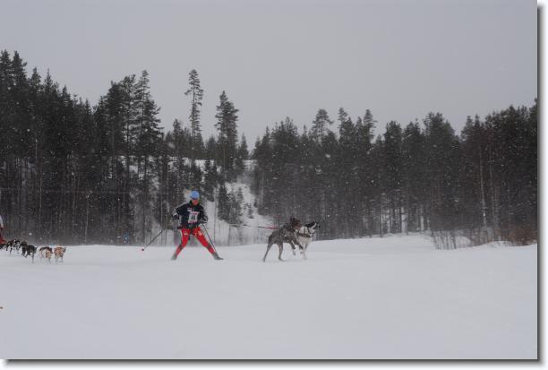 N�sta bild