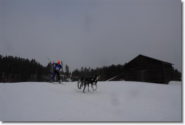 N�sta bild