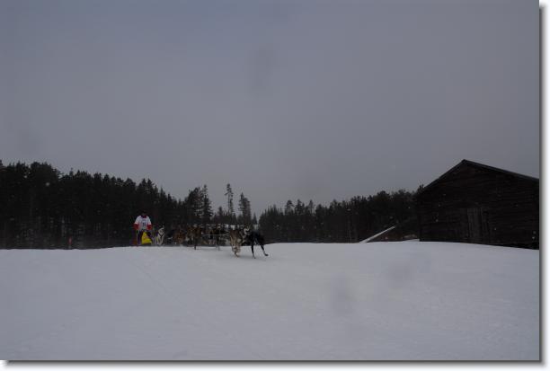 N�sta bild