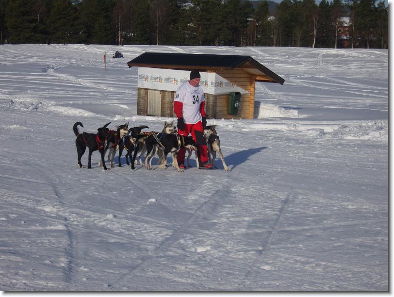 Nästa bild