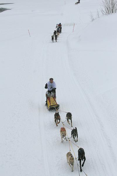 IMG_8229.JPG