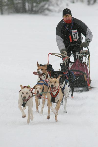 IMG_8427.JPG