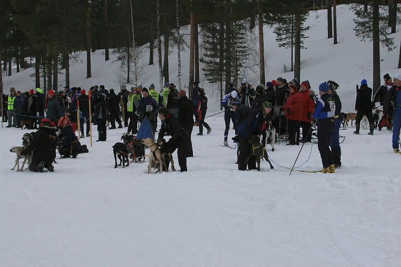 IMG_8467.JPG
