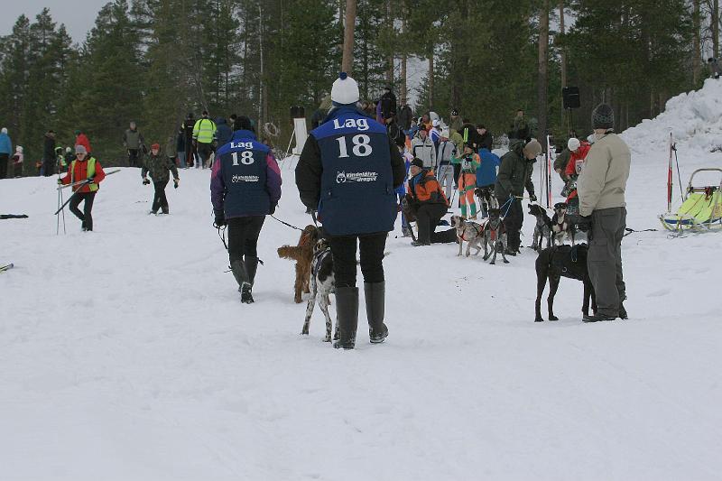 IMG_8491.JPG