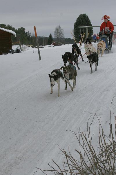 IMG_8530.JPG