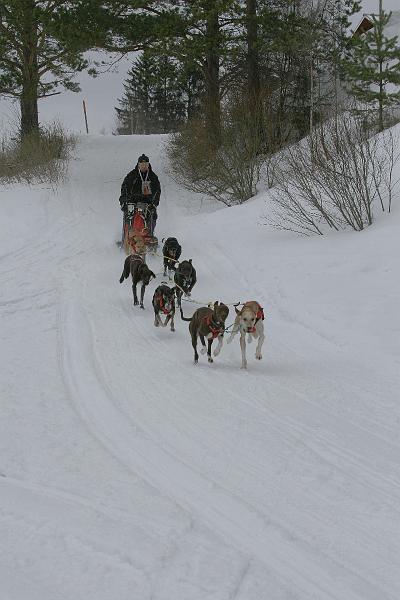 IMG_8539.JPG