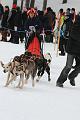 IMG_8473