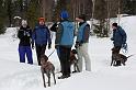 IMG_4943a