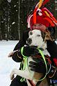 IMG_4951a