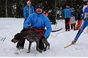 IMG_4986a