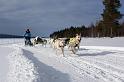 IMG_5033a