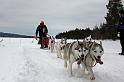 IMG_5193a