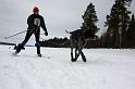 IMG_5309a