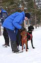 IMG_5521a
