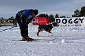 IMG_5586a