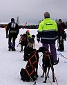 IMG_5623a