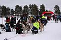 IMG_5633a