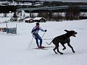 IMG_5865a