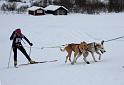 IMG_5894a