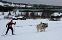 IMG_5954a