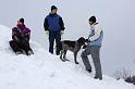 IMG_6033a
