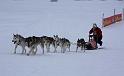 IMG_6069a