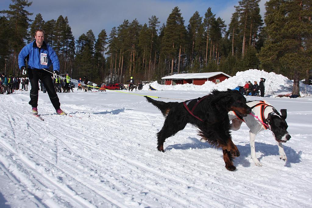 IMG_6467a.jpg
