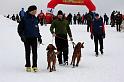 IMG_6093a