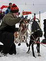 IMG_6136a