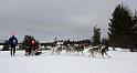 IMG_6185a