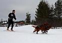 IMG_6201a