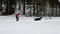 IMG_6239a