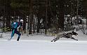 IMG_6248a
