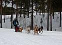 IMG_6367a