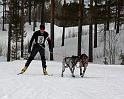 IMG_6397a