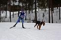 IMG_6408a
