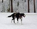 IMG_6427a