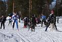 IMG_6456a