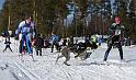 IMG_6459a