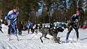 IMG_6460aa