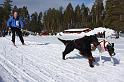 IMG_6467a