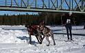 IMG_6714a