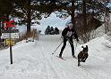 IMG_6787a