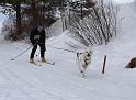IMG_6845a