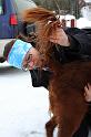 IMG_6902a