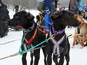 IMG_6944a